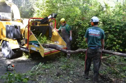 tree services Rancho Tehama Reserve